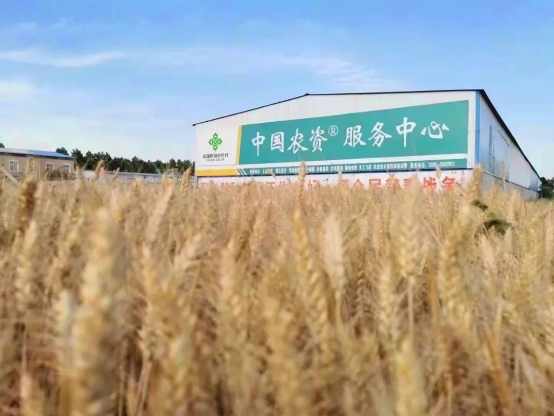 微信图片_20210622184800.jpg