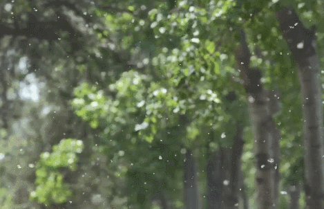 1652249109669772.gif